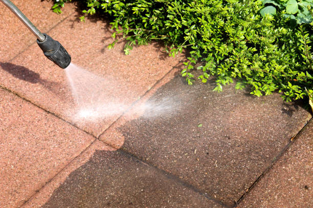 Best Pressure Washing Driveway  in , NJ